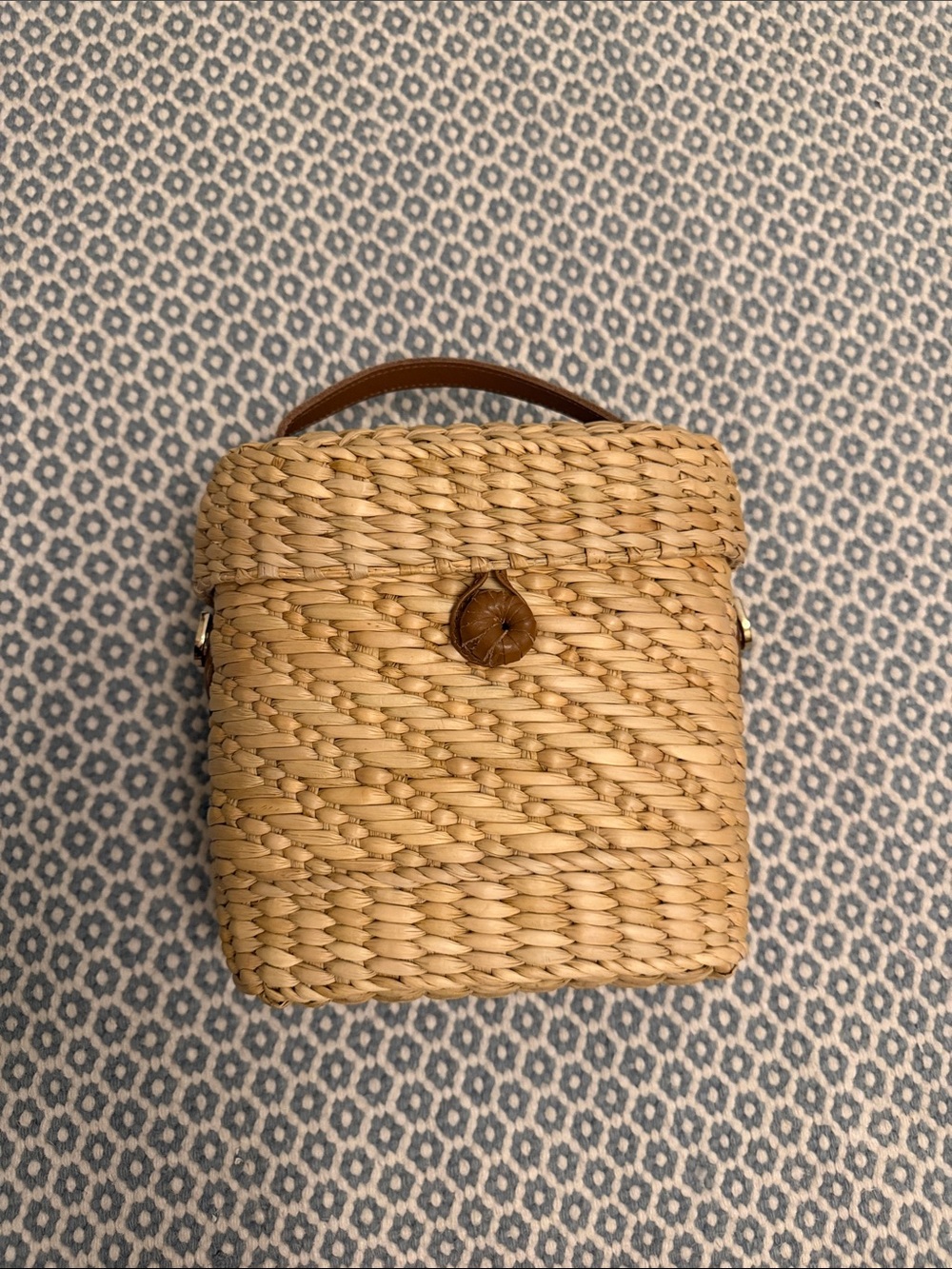 Woven Straw top handle Bag with Button Closure - Natural poolside train case